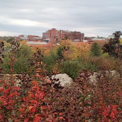 ABC Taxi - Boone hospital Columbia Missouri