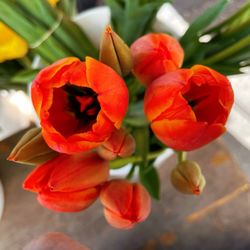 Gorgeous flowers @clement street farmers market