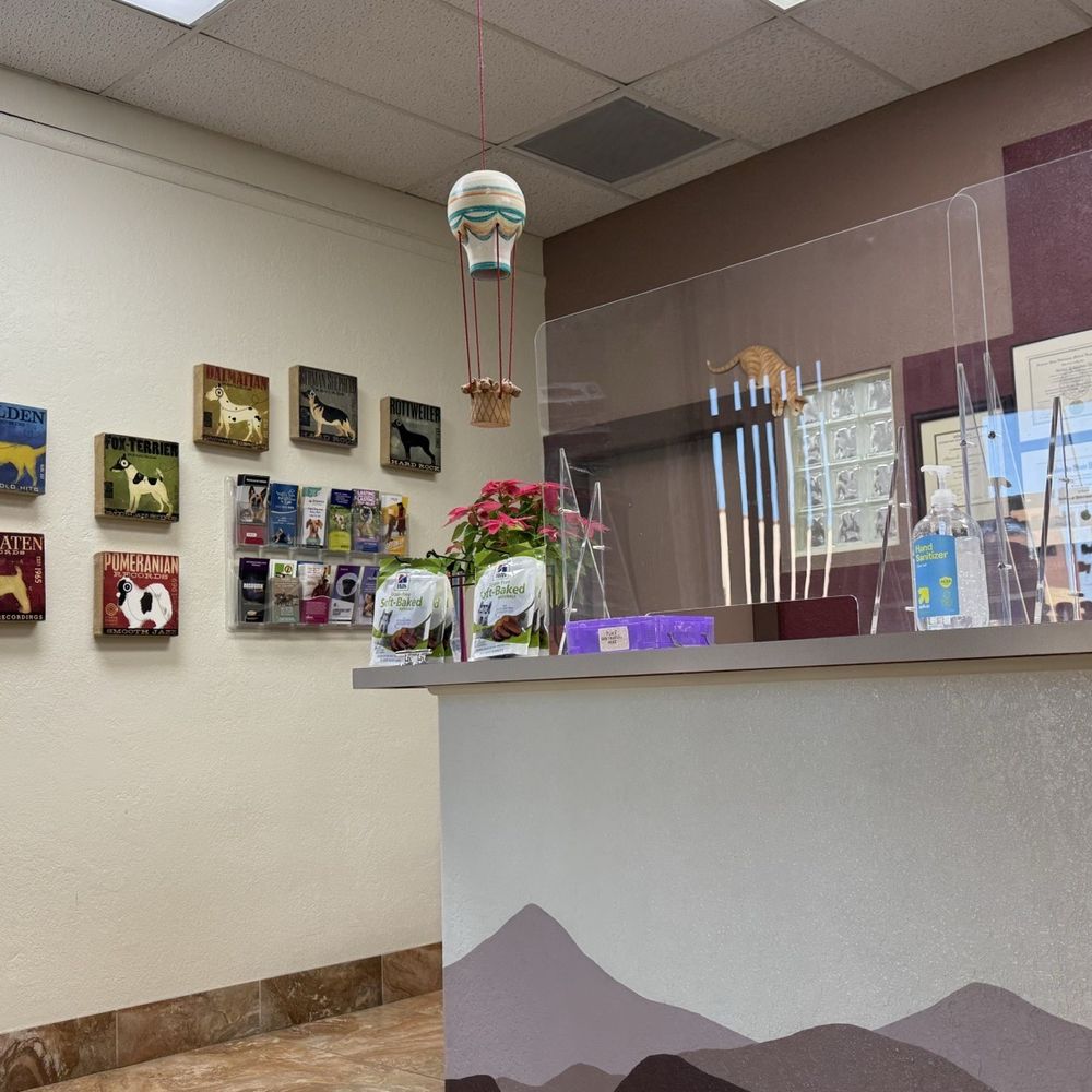 THE BEST 10 VETERINARIANS near TUCSON, AZ 85735 - Updated 2026 - Hours -  Yelp