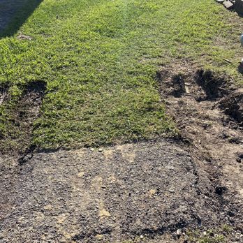 Sarceno Tree Service - Damage to yard. - Landscape Architects or Designers Near Me - Houston, Texas Sarceno Tree Service - Damage to yard. - Landscape Architects or Designers Near Me - Houston, Texas