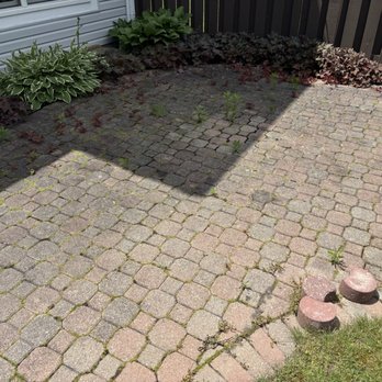 Blue Wave Power Cleaning - Moss and weeds - Pressure Washers Near Me Blue Wave Power Cleaning - Moss and weeds - Pressure Washers Near Me