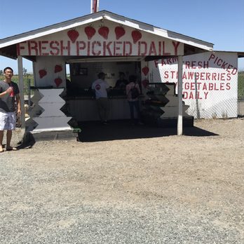 Strawberries Picked Fresh Daily - Fruits & Veggies Near Me - Stockton, California