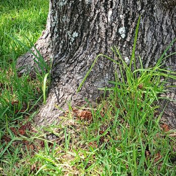 Grass Gremlins Lawn & Landscape - Landscaping Near Me Grass Gremlins Lawn & Landscape - Landscaping Near Me