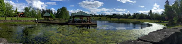 Bethany Vineyard & Winery by null