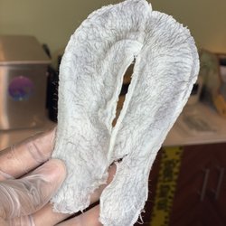 Pheelin’ Phuzzy - I use hard wax for your waxing services