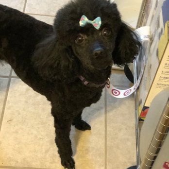 Best Friends Grooming - Pet Sitting Near Me - Rio Rancho, New Mexico Best Friends Grooming - Pet Sitting Near Me - Rio Rancho, New Mexico