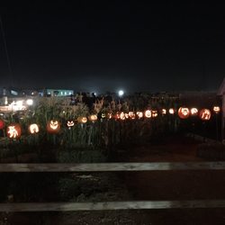 Bakersfield Halloween Town - Halloween town