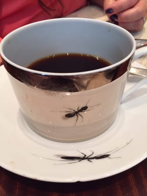 Matsuhisa Paris by null