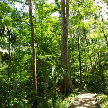 DeLeon Spring State Park - Great trails - Parks Near Me - De Leon Springs, Florida DeLeon Spring State Park - Great trails - Parks Near Me - De Leon Springs, Florida