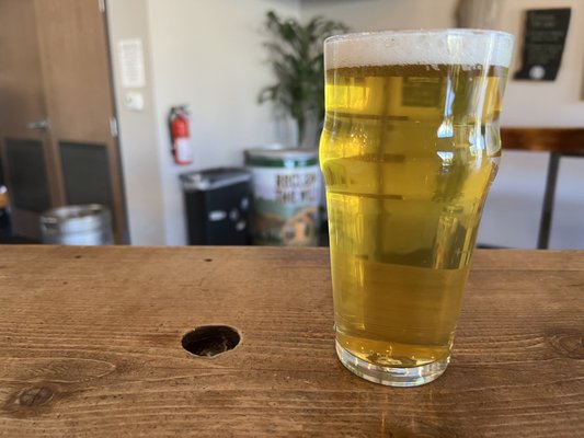Burgeon Beer Company by null