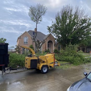 Paramount Tree Care - Tree Services Near Me Paramount Tree Care - Tree Services Near Me