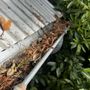 Photo of Clear Flow Gutters