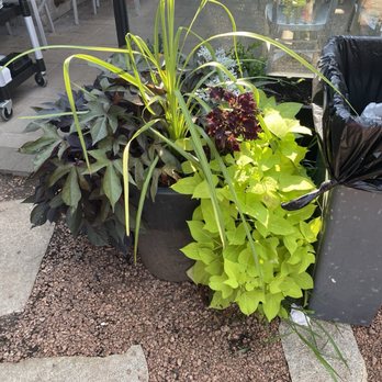 Preservation - I love the contrasting plants - Wine Bars Near Me - Geneva, Illinois Preservation - I love the contrasting plants - Wine Bars Near Me - Geneva, Illinois