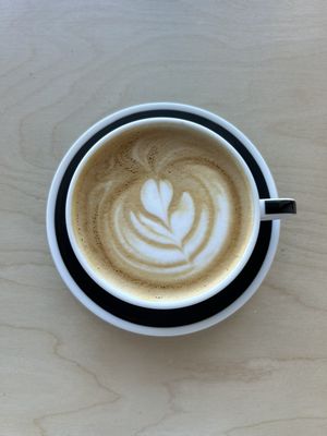 The Proper Cup by null