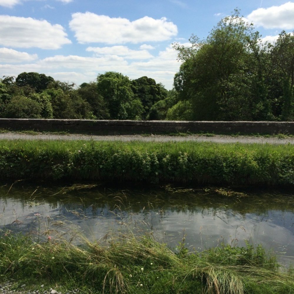 Leinster Aqueduct - Grand Canal - Local Flavor Near Me - Sallins, KE