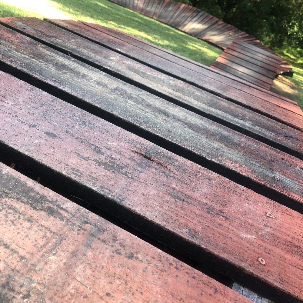 Pitner Dog Park - Practice bike ramp - Dog Parks Near Me - Acworth, Georgia