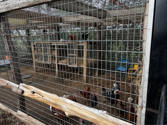 Rockin’ Star Ranch by null