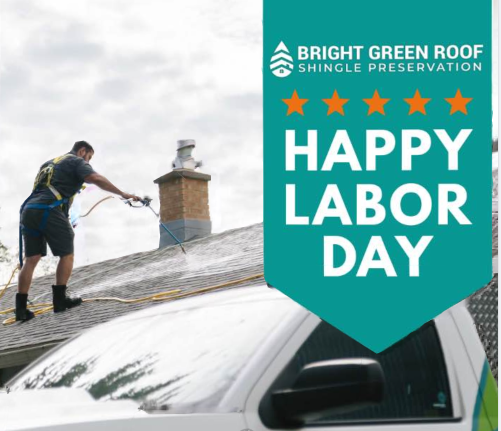 Slide of Bright Green Roof