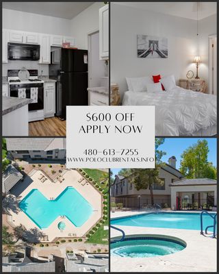 The Polo Club by null