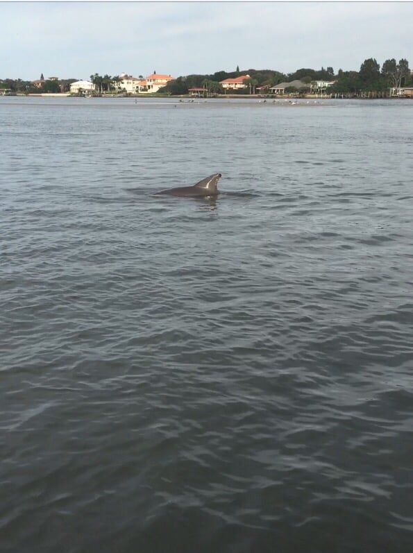 Freedom Boat Club New Smyrna Beach - O 