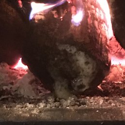 Dripping wet "seasoned" firewood