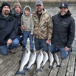 Beaver Fever Guides