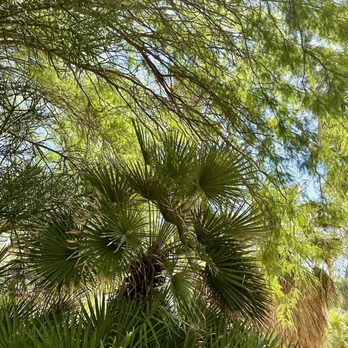 Bubbling Wells Hot Spring Ranch - Vacation Rentals Near Me - Desert Hot Springs, California Bubbling Wells Hot Spring Ranch - Vacation Rentals Near Me - Desert Hot Springs, California