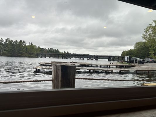 Thirsty Whale by null