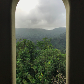 El Yunque Rainforest - Yokahu Observation Tower, view from inside the tower. - Hiking Near Me - Luquillo, Puerto Rico El Yunque Rainforest - Yokahu Observation Tower, view from inside the tower. - Hiking Near Me - Luquillo, Puerto Rico