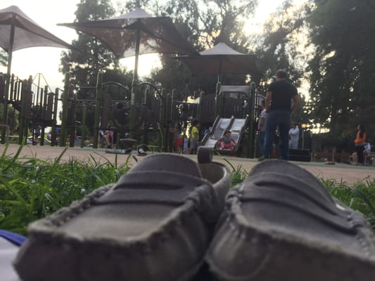 Harold A Henry Park by null