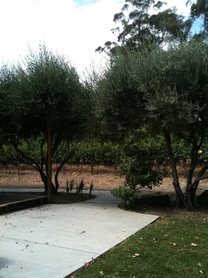 Silenus Winery by null