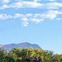 Photo of Algodones Distillery