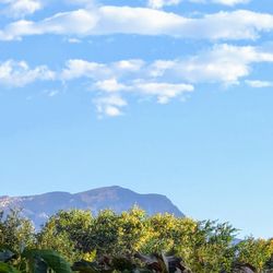 Algodones Distillery - Sandia crest as viewed from the distillery lawn