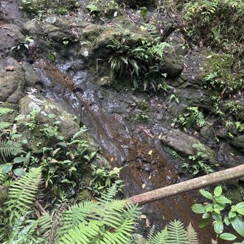 Hau'ula Loop Trail - Hiking Near Me - Hauula, Hawaii