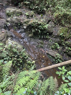 Hauʻula Loop Trail by null