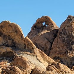 Heart Arch - Heart Arch