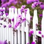 Photo of Pristine Fence