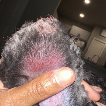 Zoe's Pawfection - Dried blood on the top of his ear - Pet Groomers Near Me - Katy, Texas Zoe's Pawfection - Dried blood on the top of his ear - Pet Groomers Near Me - Katy, Texas