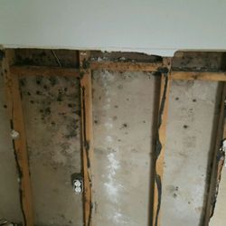 Mid Maryland Cleaning & Restoration - From flooding mold growing upward inside walls!