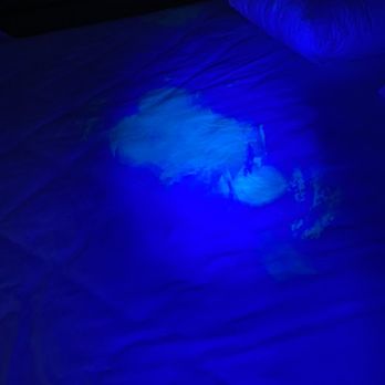 Hyatt Place Buffalo/Amherst - Bodily fluids on sheets. - Venues & Event Spaces Near Me - Amherst, New York Hyatt Place Buffalo/Amherst - Bodily fluids on sheets. - Venues & Event Spaces Near Me - Amherst, New York