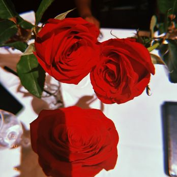 The Capital Grille - Roses - Steakhouses Near Me - Plano, Texas The Capital Grille - Roses - Steakhouses Near Me - Plano, Texas