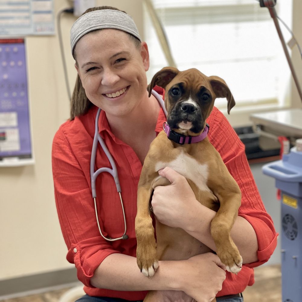 ORCHARD VETERINARY CARE Updated August 2024 45 Orchard Rd, Wilmington, Ohio Veterinarians