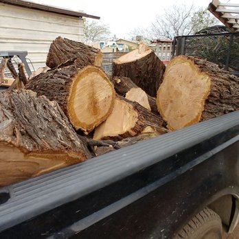 George Scaff Tree Service - Tree Services Near Me George Scaff Tree Service - Tree Services Near Me