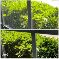 Pureclean Windows & Gutters