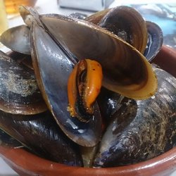 Manchego IV - Mejillones al vapor