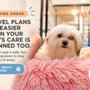 Luxe Pet Care
