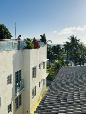 Hotel Ocean South Beach by null