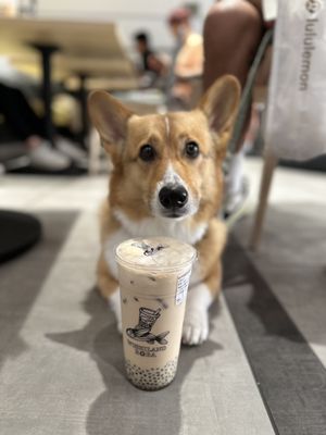 Wushiland Boba by null
