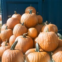 Holiday & Harvest