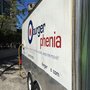 Photo of Burgerphenia